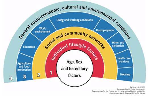 Social model of health