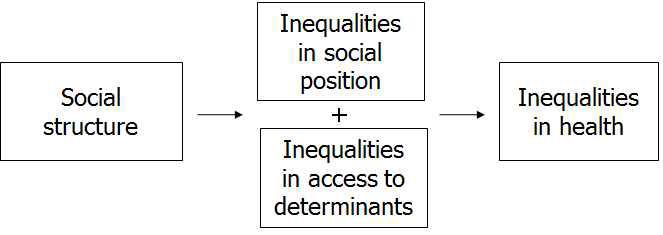 Social inequalities and health