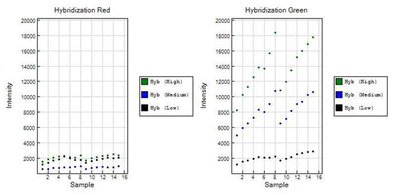 Hybridization controls 결과