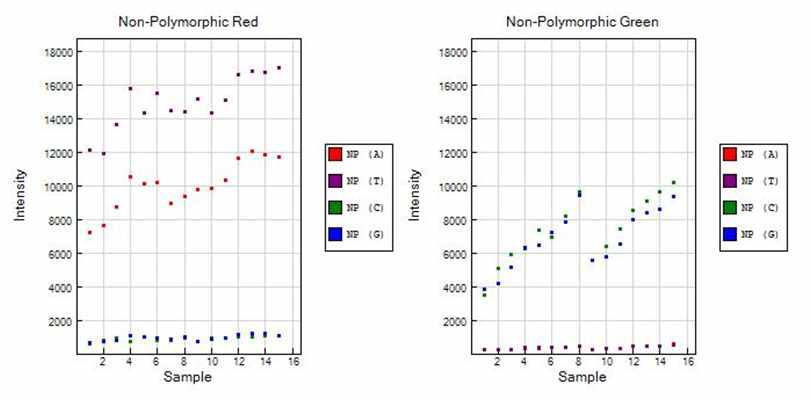 Non-polymorphic controls 결과