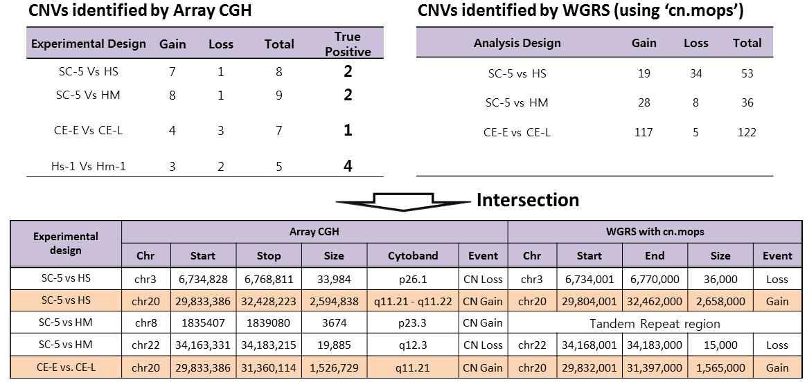 WGS와 Array CGH 결과 비교