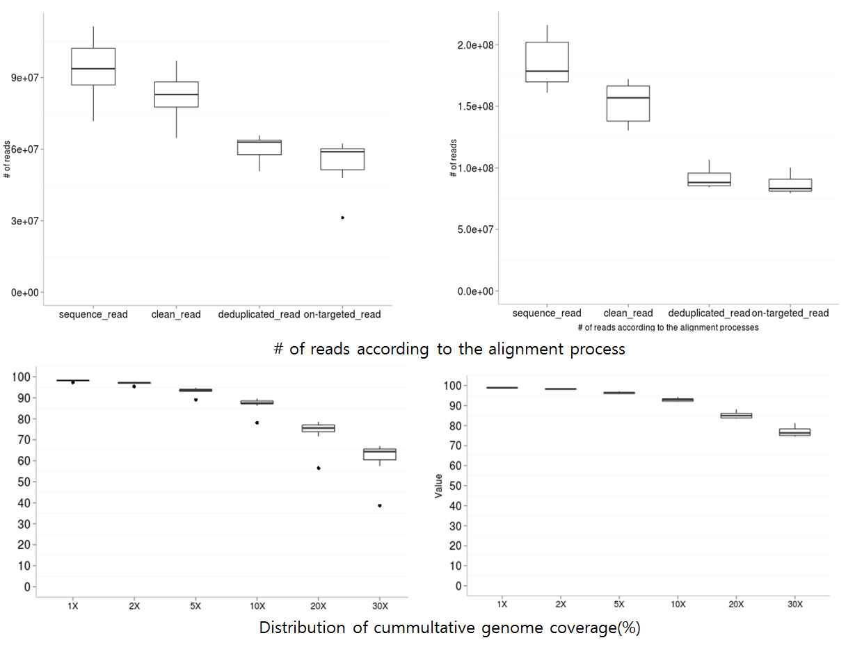 그룹 A(좌)와 B(우)에 대한 각 단계별 Sequencing Read 분포(상)와 Agilent SureselectXT toolkit에 의해 capture된 depth별 누적 분포(하)