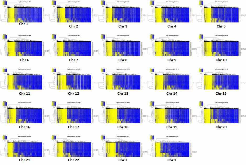 Agilent SureselectXT toolkit에 의해 target 영역에서 A group의 methylation level 의 계층적 구조가 표현된 heatmap