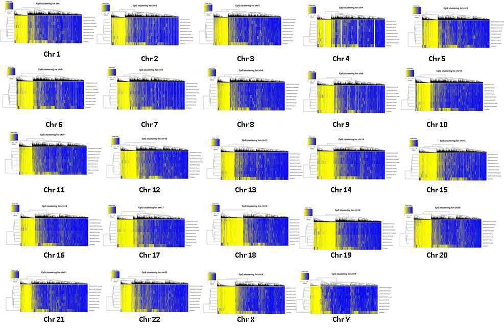 Agilent SureselectXT toolkit에 의해 target 영역에서 B group의 methylation level 의 계층적 구조가 표현된 heatmap