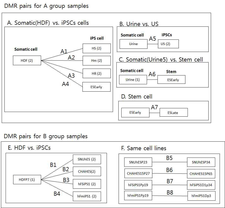 A group의 6 DMR Pair와 B group의 8 DMR Pairs