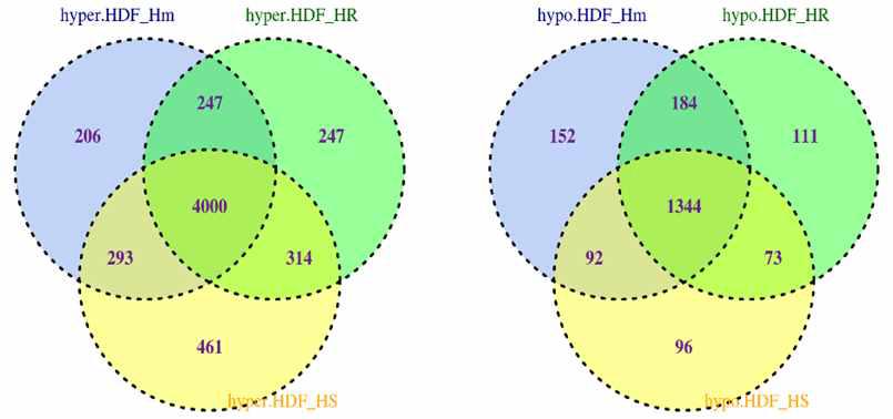 HDF와 3개의 iPSCs(Hm, HR, HS)의 venn diagram (hyper:좌, hypo:우)