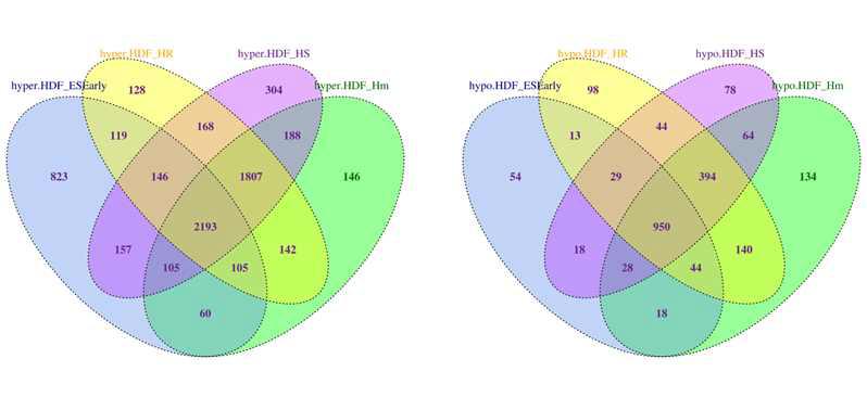 114 HDF와 3개의 iPSCs(Hm, HR, HS) 그리고 ES Early DMR pair의 venn diagram (hyper:좌, hypo:우)