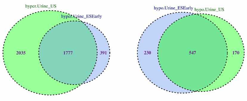 Urine_US와 Urine_ESEArly DMR pair의 venn diagram (hyper:좌, hypo:우)