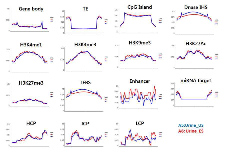 각 genomic 영역에서 해당 DMR(A5 ~ A6)의 분포를 density 개념으로 표현