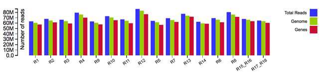 샘플별 genome/genes coverage