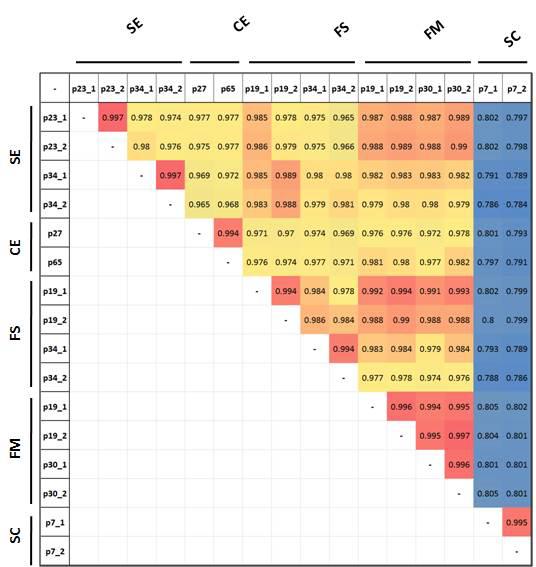 pearson correlation