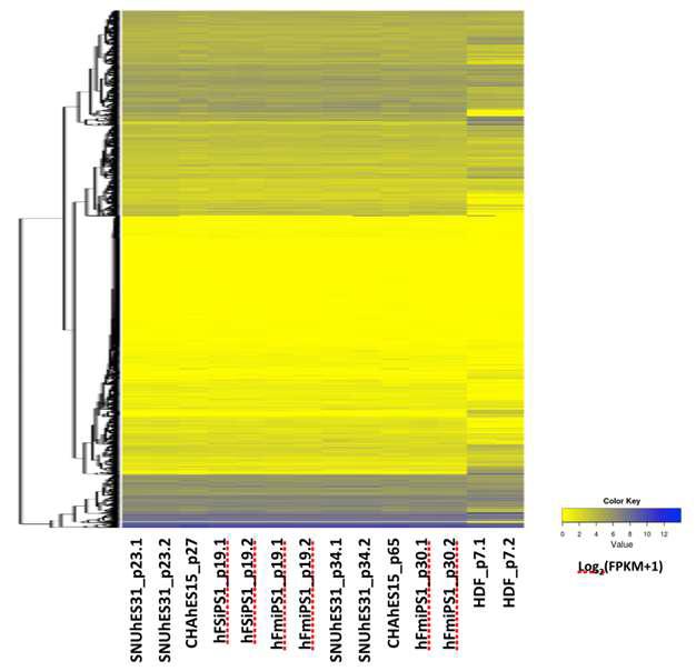 생산된 RNA-seq 샘플들의 유전자별 발현 상태