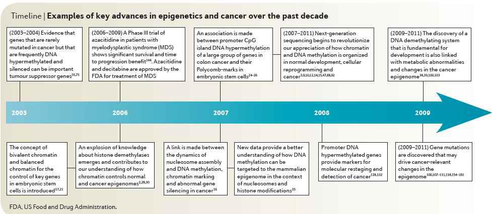 암에 관한 주요 후성유전학적 발견들