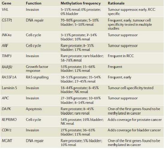 각종 암에서 과메틸화 되어 있는 주요 유전자들