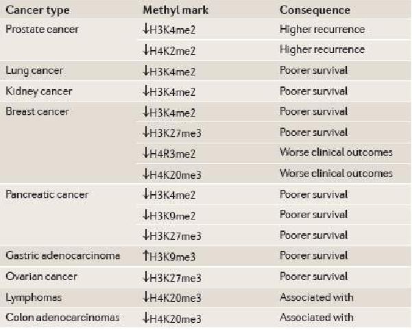 다양한 암에서 histone mehtylation의 국부적 변화