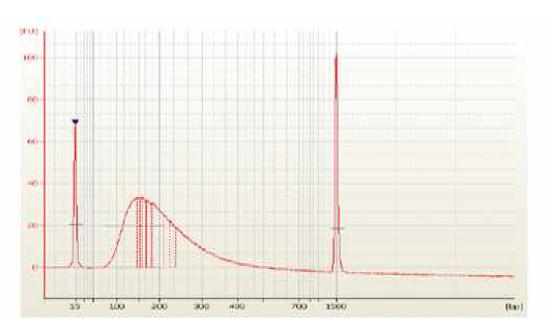 2100 Bioanalyzer을 이용한 shear된 DNA pattern 확인