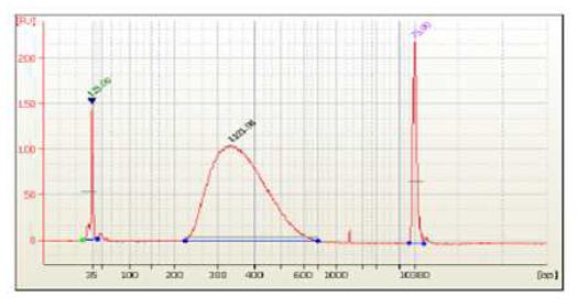 2100 Bioanalyzer을 이용한 amplified library DNA pattern 확인