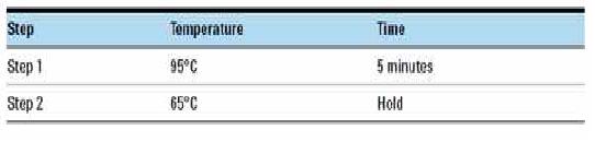 Library hybridization을 위한 PCR condition