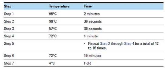 Post-hybridization amplification을 위한 PCR 프로그램