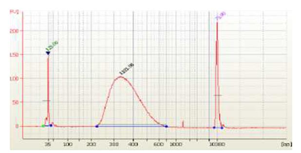 2100 Bioanalyzer을 이용한 amplified library DNA pattern 확인