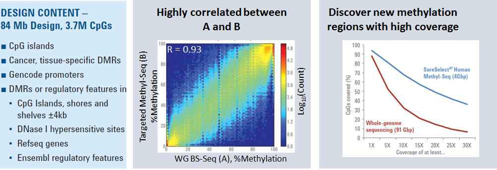 Agilent SureSelect Human Methyl-Seq kit의 캡쳐링 영역과 성능