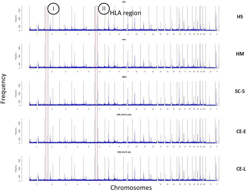 변이들에 대한 Chromosome-wide distribution