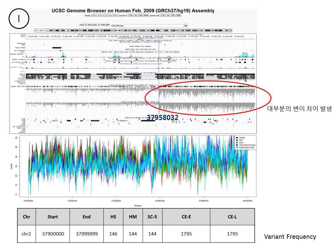 chromosome 2번 37900000～37999999 영역의 UCSC genome browser 및 depth plot, 변이 빈도수 계산 표