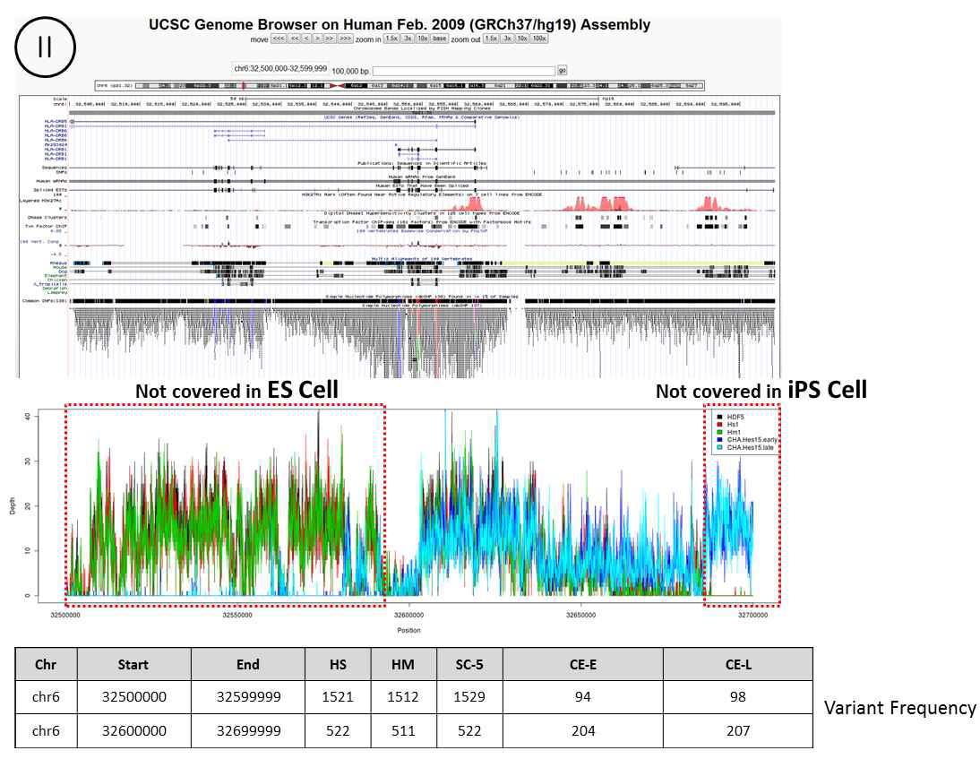 chromosome 6번 32500000～32699999 영역의 UCSC genome browser 및 depth plot, 변이 빈도수 계산 표