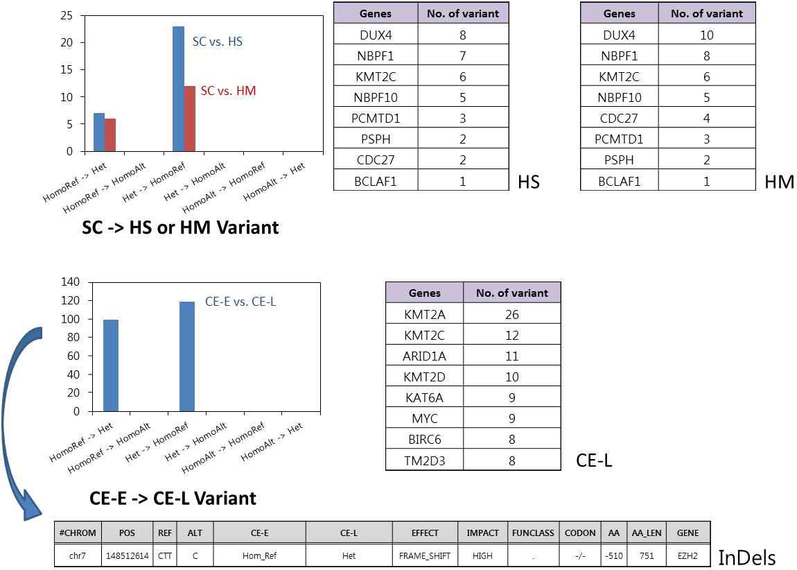 cancer related gene region 내의 분화 후 변이 양상 확인 결과