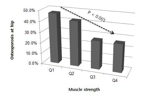 근력 정도에 따른 골다공증 유병률