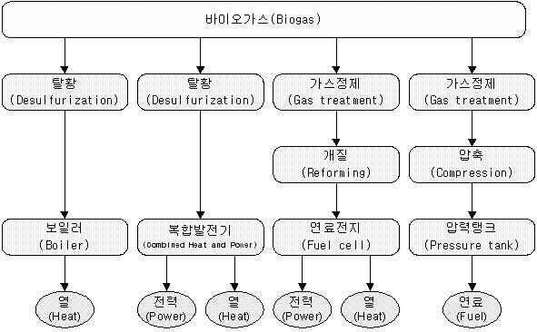 바이오가스의 열, 전력, 연료에너지로의 전환 과정 요약