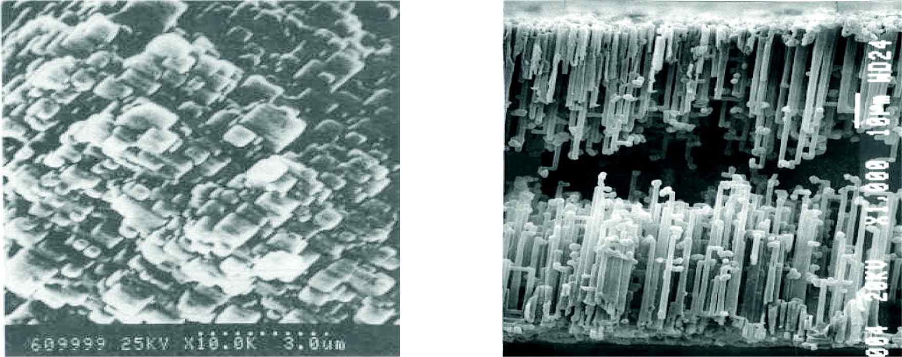 커패시터에 사용되는 알루미늄 에칭전극의 산화막 레플리카 사진