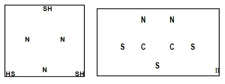 실험에 사용된 표면처리 첨가제, 1,3,5-triazine-2,4,6 trithiol(TT) 및 2,5-dimercapto-1,3,4-dithazol(DMcT)