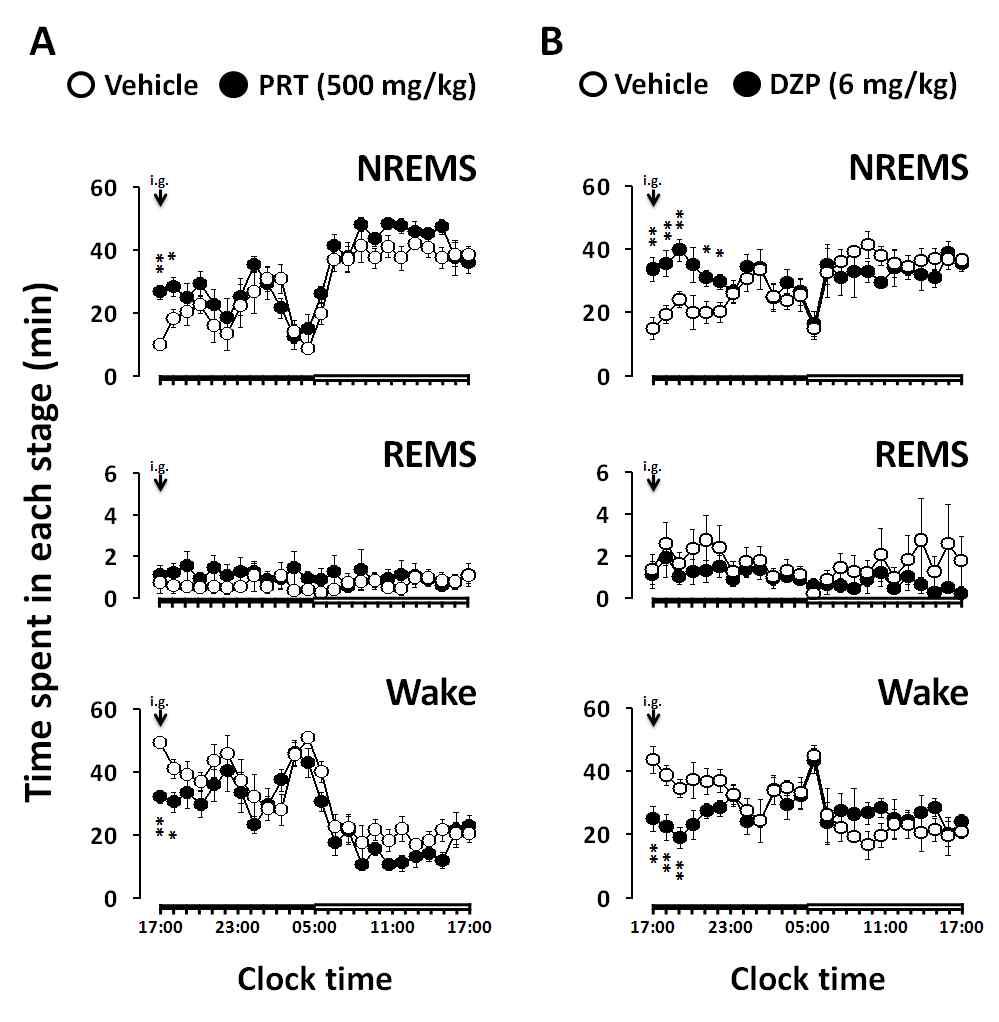 Time courses of NREMS, REMS, and Wake after the administration of PRT (A) and DZP (B)