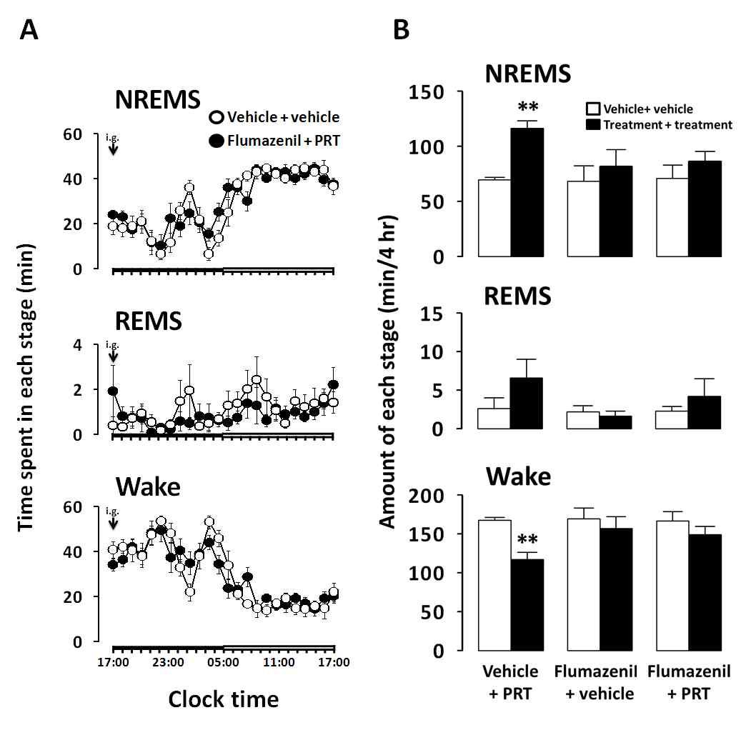 Effect of flumazenil on PRT-induced sleep