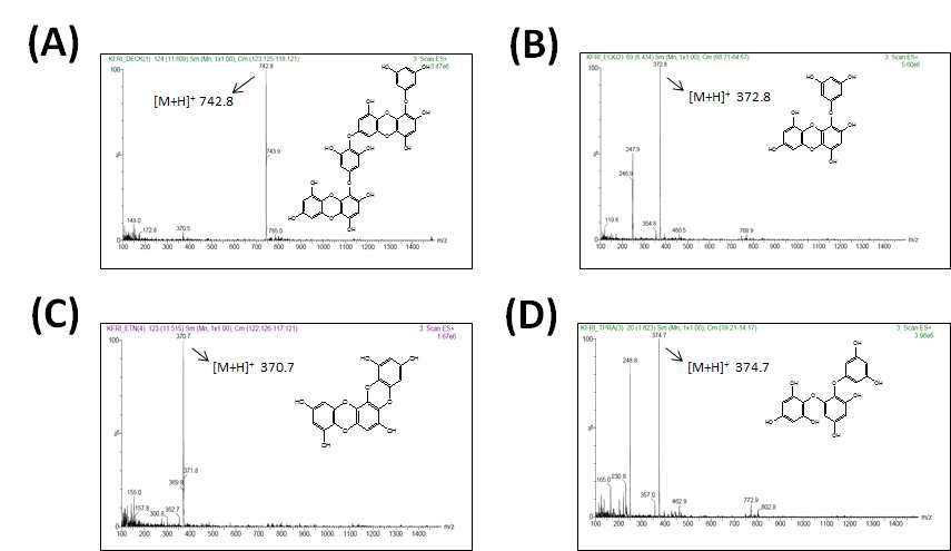 LC/MS [(ESI-MS)+] peak for (A) dieckol, (B) eckol, (C) eckstronol and (D) triphlorethol-A from ECE