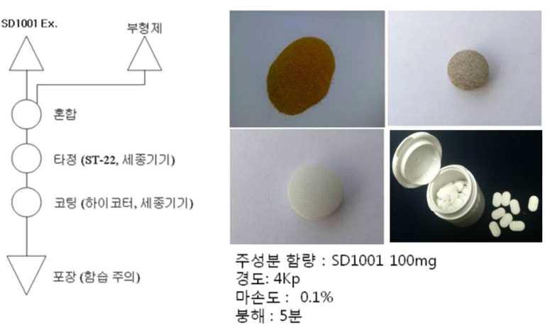 필름코팅정의 제조공정도 및 시제품