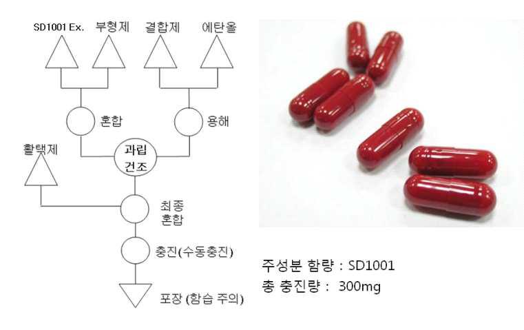 캡슐제의 제조공정도 및 시제품