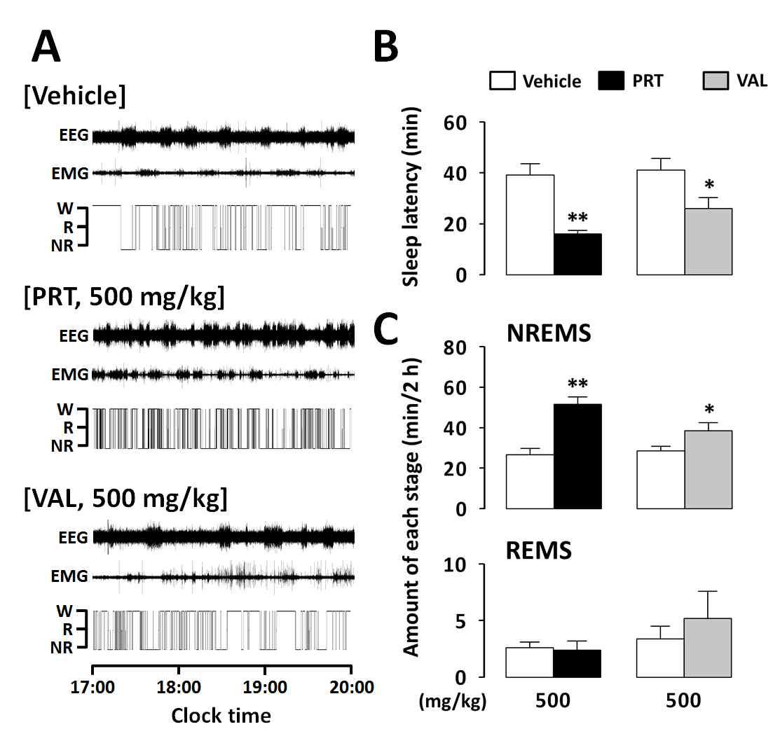 (A) Representative examples of EEG and EMG signals and corresponding hypnograms in a mouse treated with vehicle, PRT, and VAL. (B) Effects of PRT and VAL on sleep latency. (C) Total time spent in NREMS and REMS for 2 h after administration