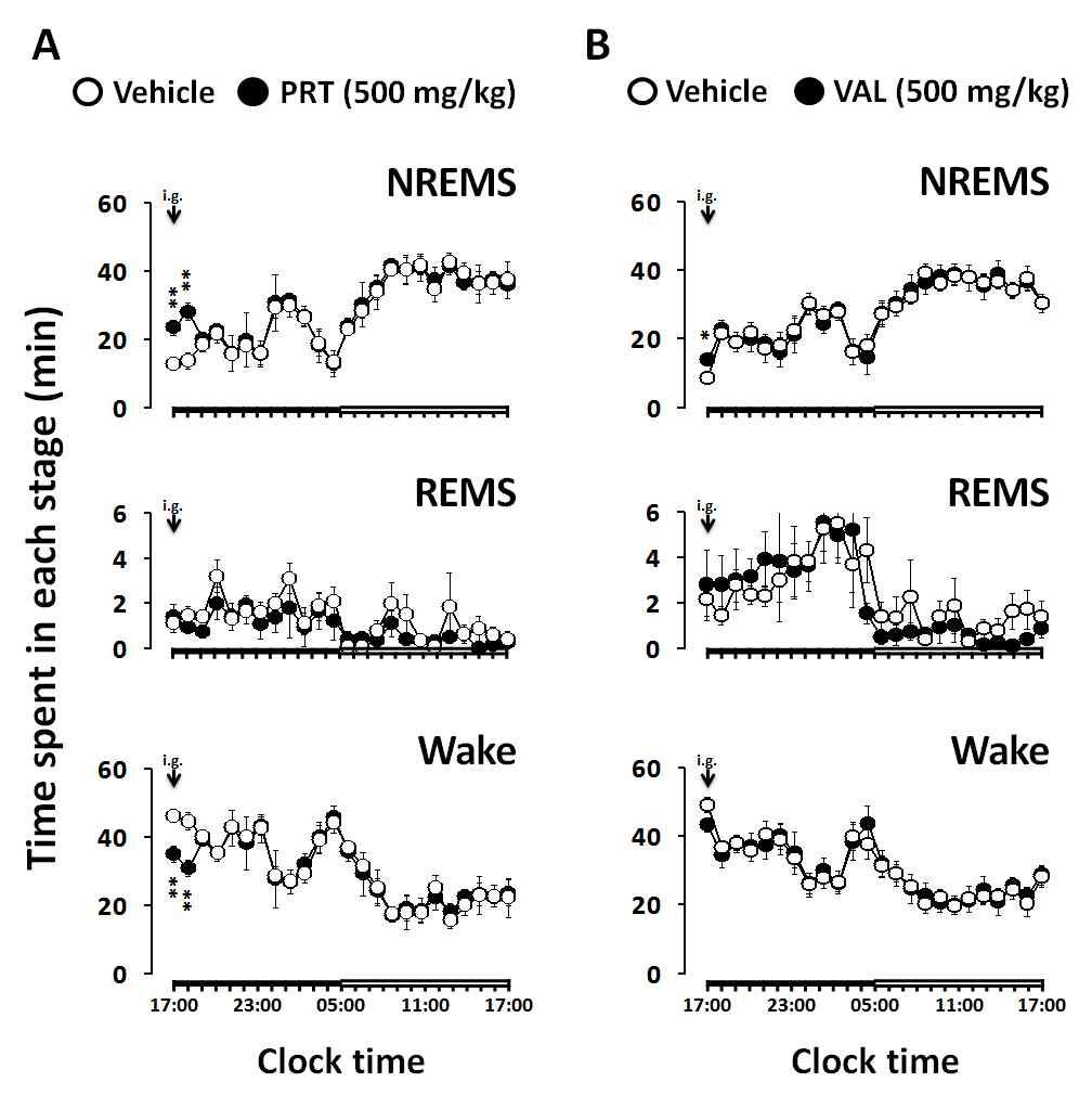 Time courses of NREMS, REMS, and Wake after the administration of PRT (A) and VAL (B)