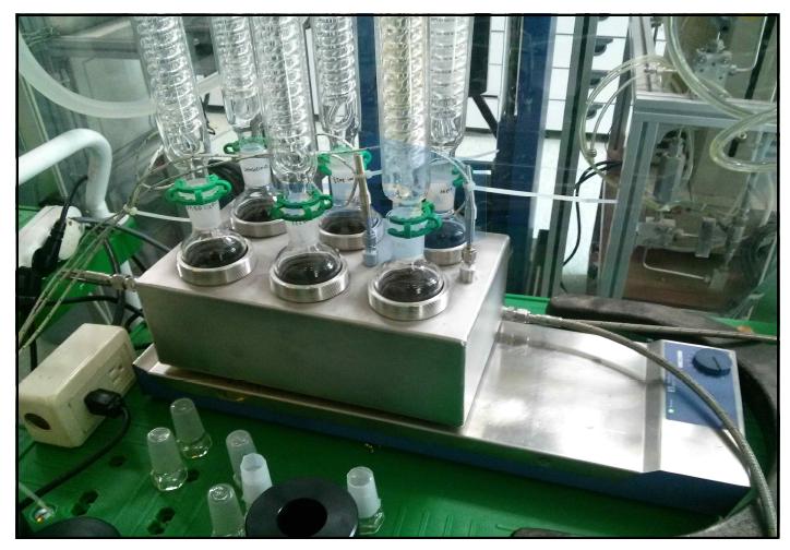 Catalyst Screening Apparatus for Vial Test