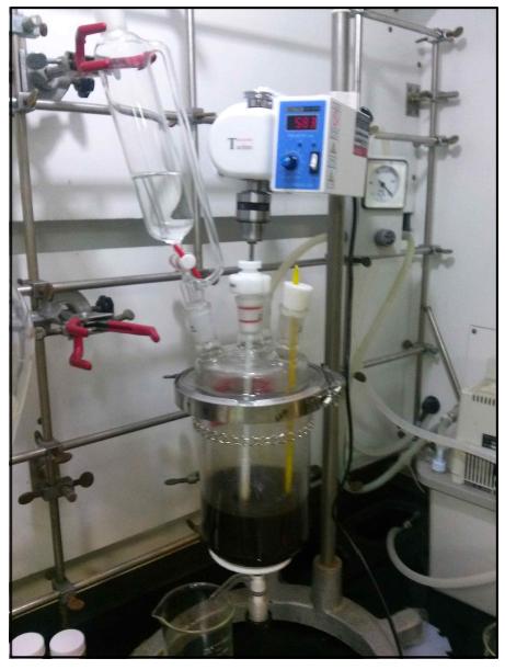 Photograph of Alkali Washing Experiment