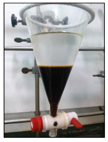 Phase Separation of Alkali Washed Sample