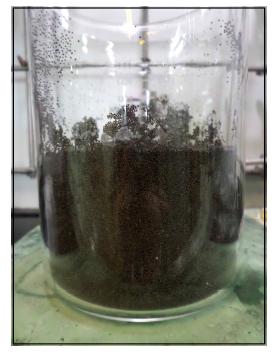 Solid Acid Catalyst Pretreated by Washing within Bench-scale Soxhlet Extractor