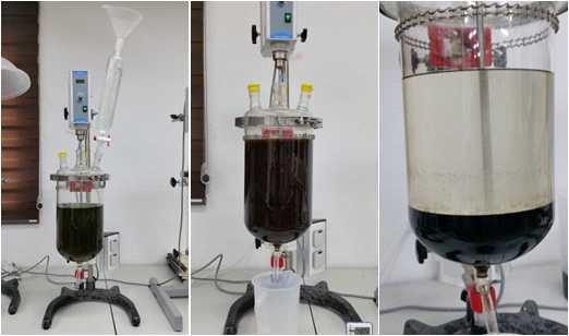 Photographs Exhibiting Product Washing Step with Caustic Solution in Bench Test