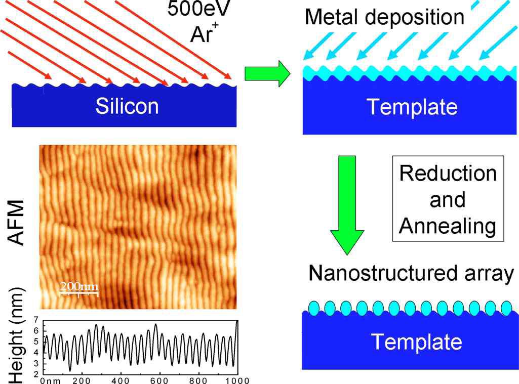 제조 공정의 모식도. 템플레이트는 실리콘 기판에 낮은 에너지로 낮은 입사각의 이온을 조사하여 제조됨.
