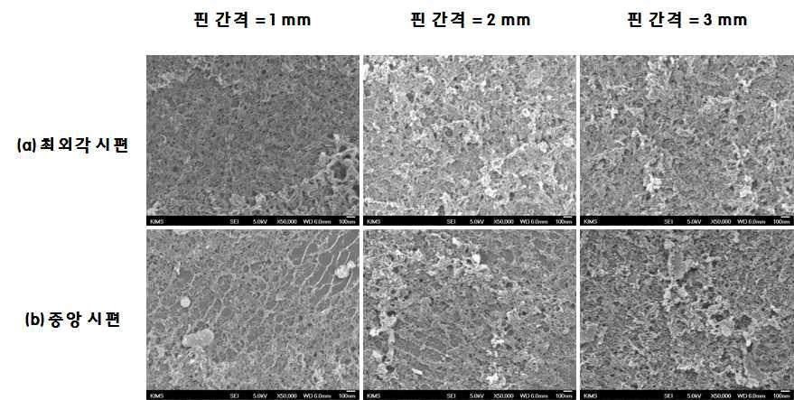 핀의 위치에 따른 알칼리 에칭 후 시편 센터 부위의 FE-SEM 사진