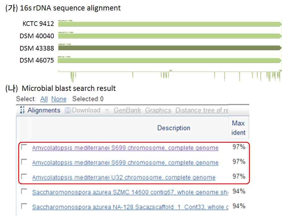 16S rDNA sequence를 통한 균주의 동정. (가) 16S rDNA의 sequencing alignment, (나) NCBI의 Microbial BLAST 검색 결과.