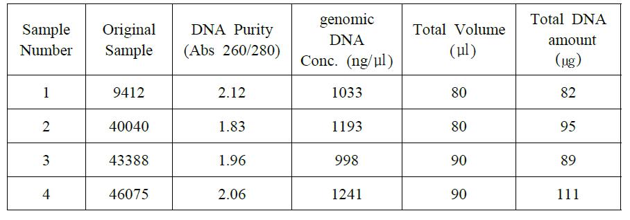 Ellumina sequencing을 위한 sample DNA.