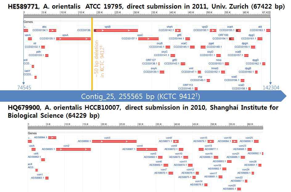 현재까지 알려진 vancomycin 생합성 유전자군 정보와 KCTC 9412 contig에서 확인된 해당 영역과의 비교